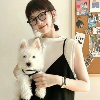 狗十三