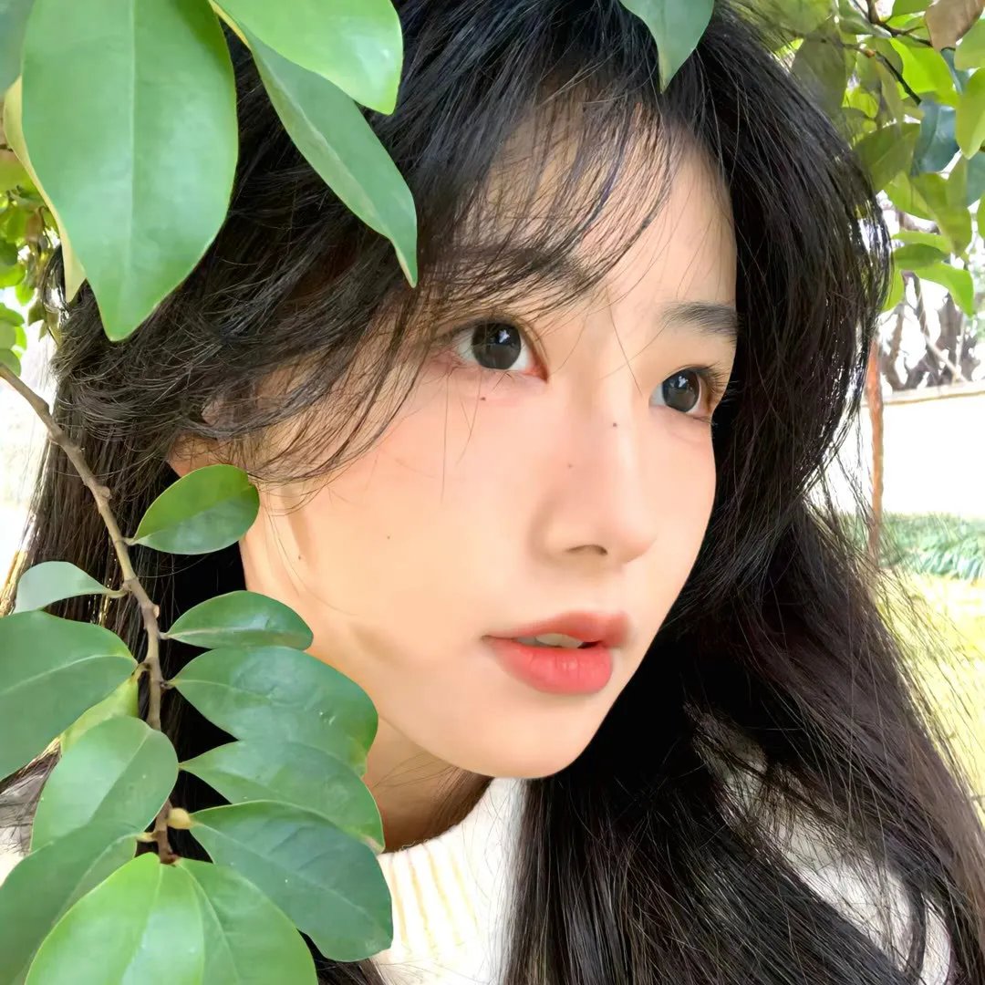 诡书
